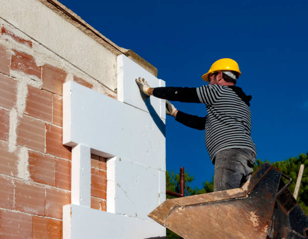 Best Energy-efficient Insulation  in Pine Lawn, MO