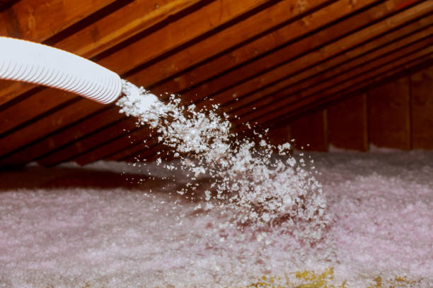 Best Best Insulation Companies  in Pine Lawn, MO
