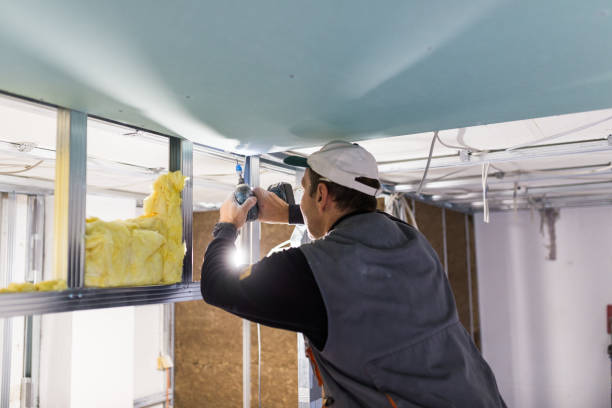 Best Affordable Insulation Services  in Pine Lawn, MO