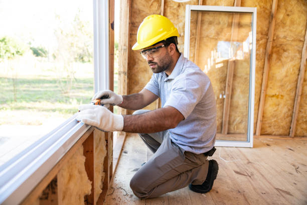 Best Insulation Removal  in Pine Lawn, MO