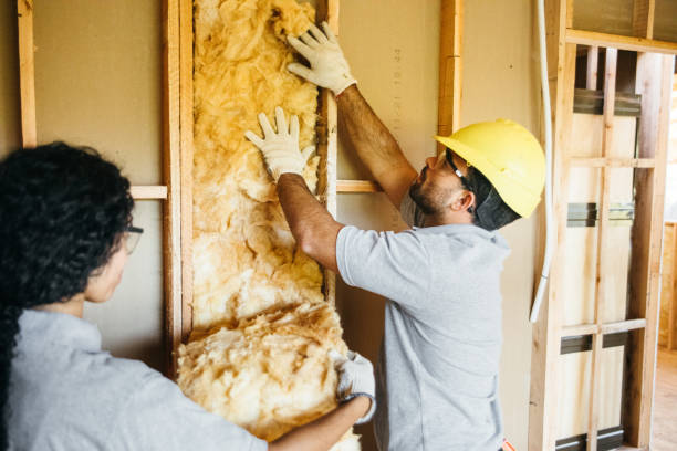 Insulation Replacement Services in Pine Lawn, MO