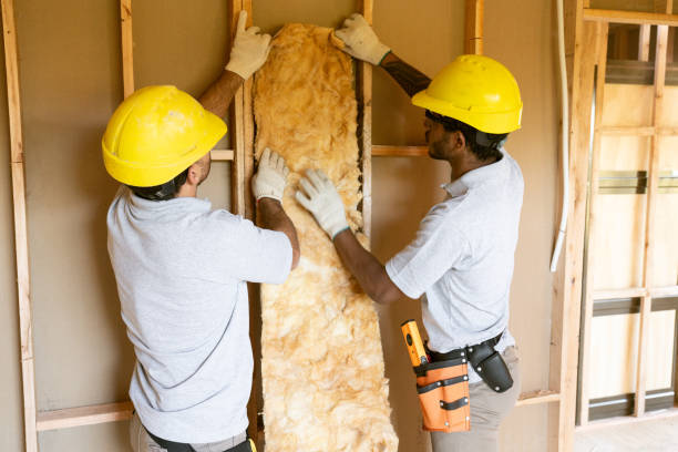 Best Attic Insulation Installation  in Pine Lawn, MO
