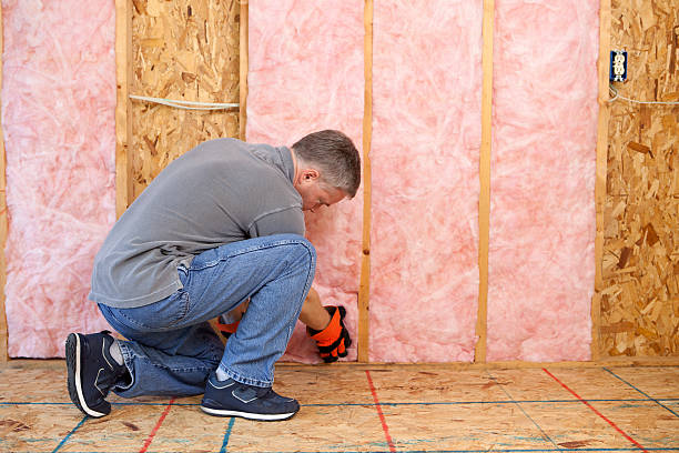 Garage Insulation Installation in Pine Lawn, MO