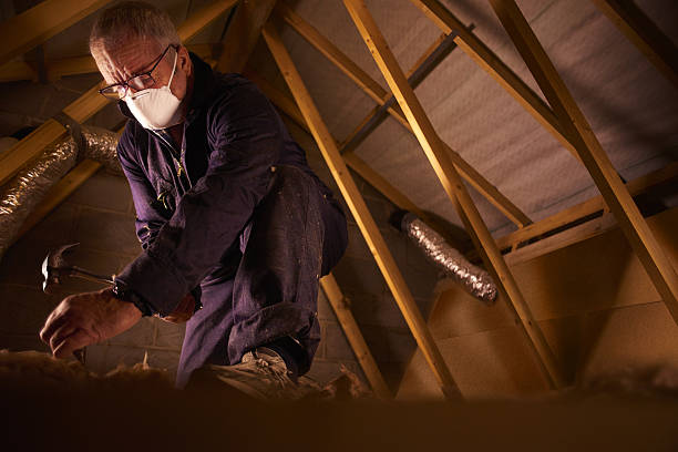 Best Garage Insulation Installation  in Pine Lawn, MO