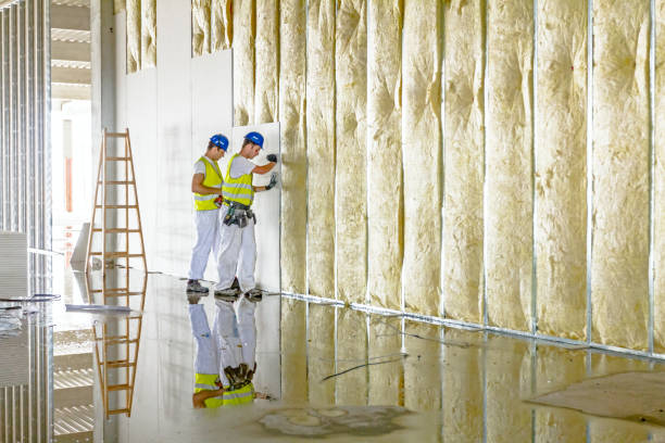 Insulation Repair Services in Pine Lawn, MO